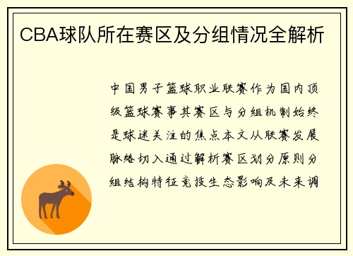 CBA球队所在赛区及分组情况全解析