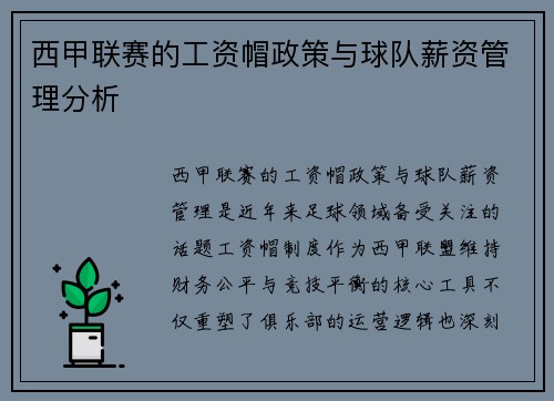 西甲联赛的工资帽政策与球队薪资管理分析