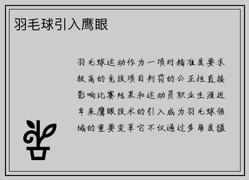 羽毛球引入鹰眼
