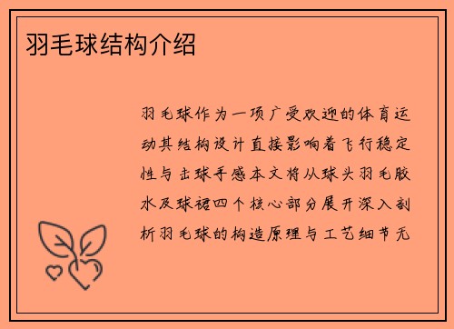 羽毛球结构介绍